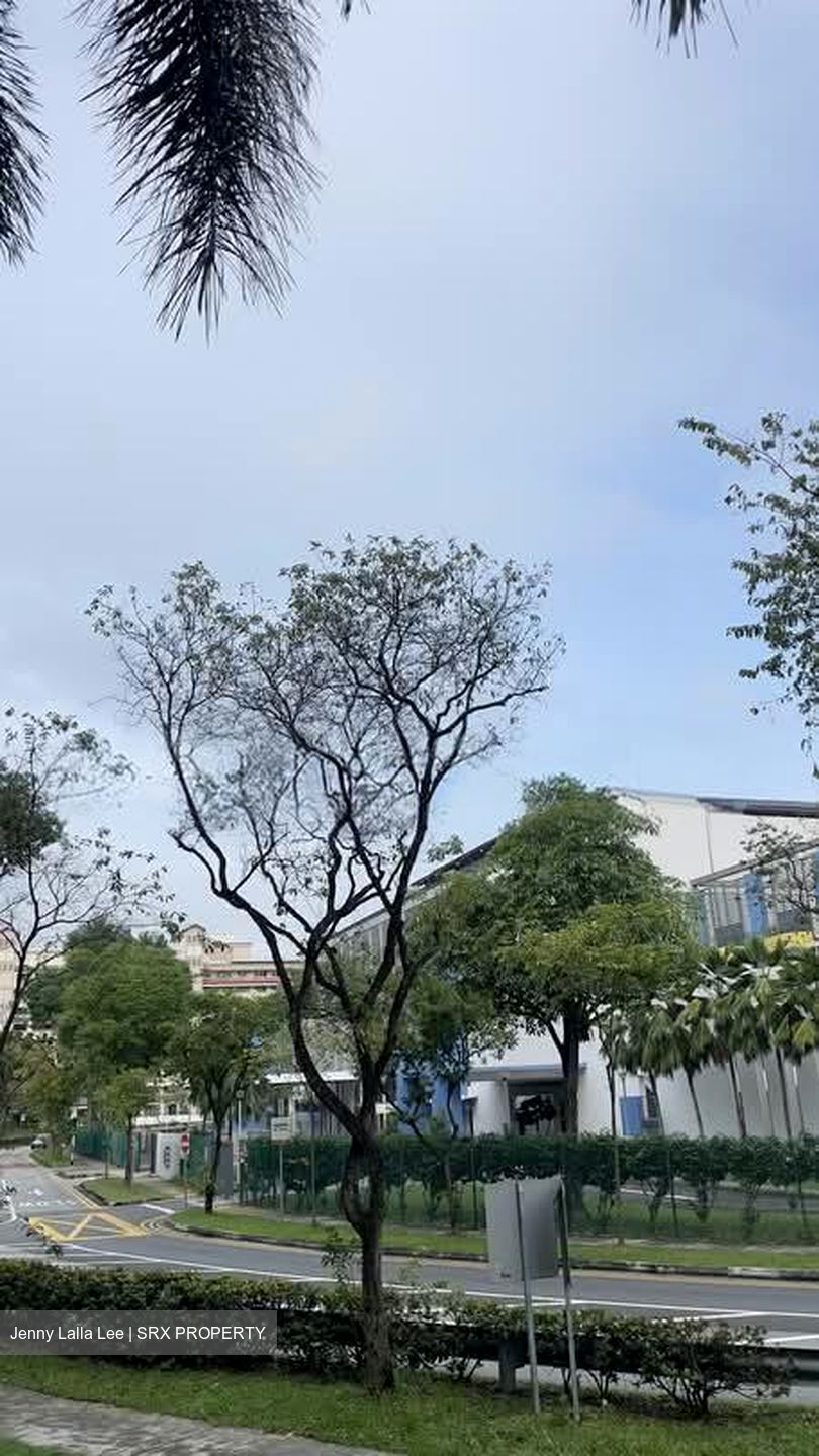 Blk 507 Serangoon North Avenue 4 (Serangoon), HDB 5 Rooms #545824241